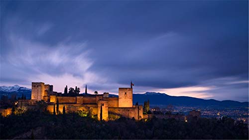 WACYDSD Pintar por números Granada Vista Nocturna del Paisaje del Castillo Pintura al óleo Pintada a Mano DIY para Las Ilustraciones caseras de la decoración de la Pared sin Marco Cover