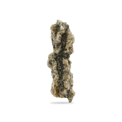 Starborn Fulgurite Specimen, Medium - 1 Piece