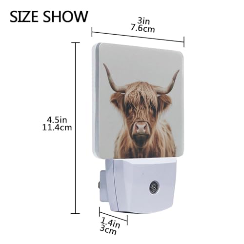 Image of Brown Highland Cattle Cow Night Lights 2 Pack Plug-in Wall Led Nightlight Auto Dusk-to-Dawn Sensor Lamps for Bedroom Kitchen Bathroom