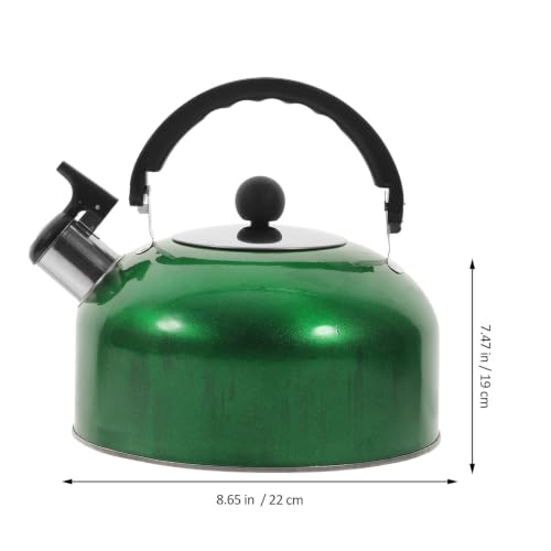 Tetera de acero inoxidable de 1,2l con acabado elegante apta para inducción 3