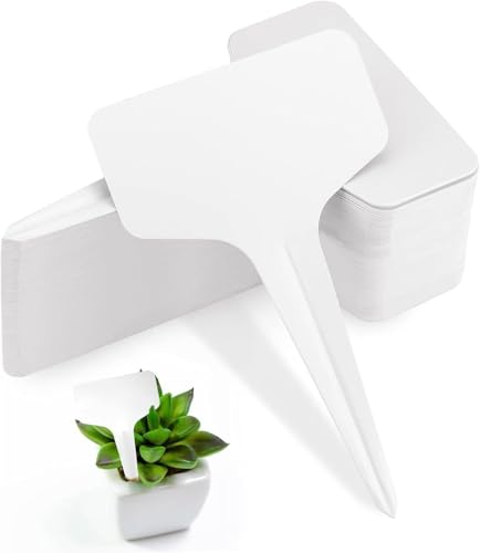 Norhogo 100 etiquetas para plantas, etiquetas para siembra, jardín, huerto, plantación, impermeable, plástico exterior, blanco, 10 x 6 cm