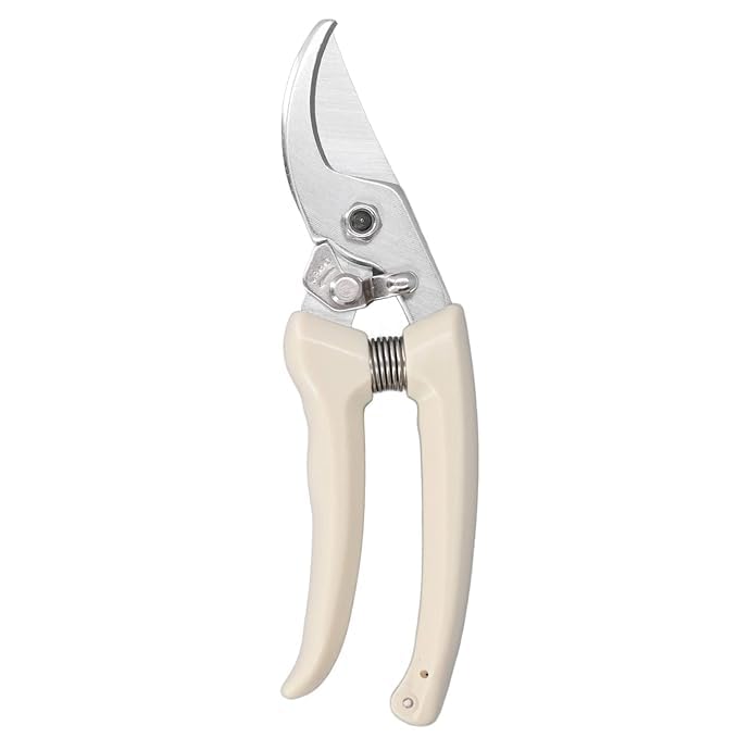 Ketlix® Plant Cutter For Home Garden | Flower Branch Sharp Cutter | Garden Bypass Pruning Shears | Pruners Scissor with Safety Lock | Garden Scissors For Home Gardening (Pack of 1)