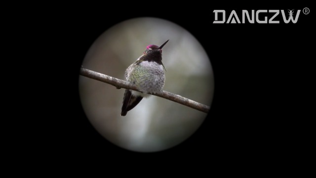 DANGZW Monokular Teleskop, HD 12x50 Wasserdicht Monokulare Teleskop BAK4 Prisma mit Tragbare Handyhalterung & Stativ… – Bild 8