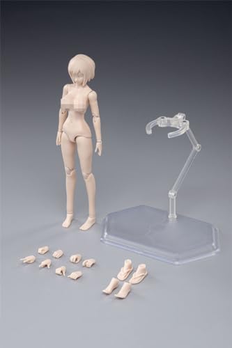Image of Fremego 1 /12 Scale Female Action Figure,6inch Figure with Head Sculpt&Stand