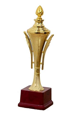 Be Win Winner Golden Fiber Trophy for Sports, Event & Functions-picture-13