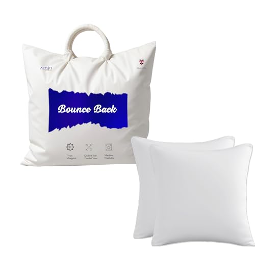 Set of 2-20cm x 20cm Hollowfibre Cushion New White Pad Inner Stuffer Pillow Polyester Insert Square Hypoallergenic (Pack of 2 | 8 x 8)