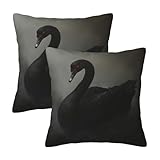 Taekifiyy Black Swan Throw Pillow Covers 18x18 Inch Set of 2 Western Decorative Cushion Cases for Couch Living Room Bedroom