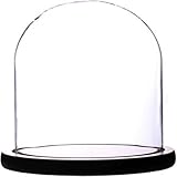 Artlass Glass Cloche Bell Jar Display Dome with Black Wooden Base 6