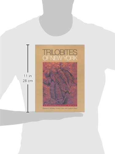 Trilobites of New York: An Illustrated Guide