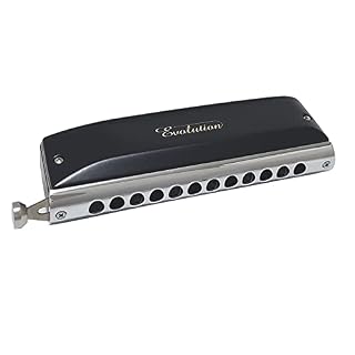 Harmonica Evolution Chromic harmonica GM - 0648s 12 trous ABS peigne laiton couvercle Reed plaque phosphore bronze Reed… – Image 6