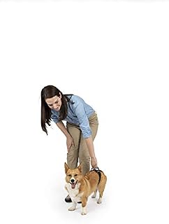 PetSafe CareLift Rear Support Harness - Lifting Aid with Handle - Great