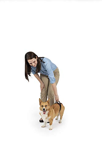 PetSafe CareLift Rear Support Harness - Lifting Aid with Handle - Great