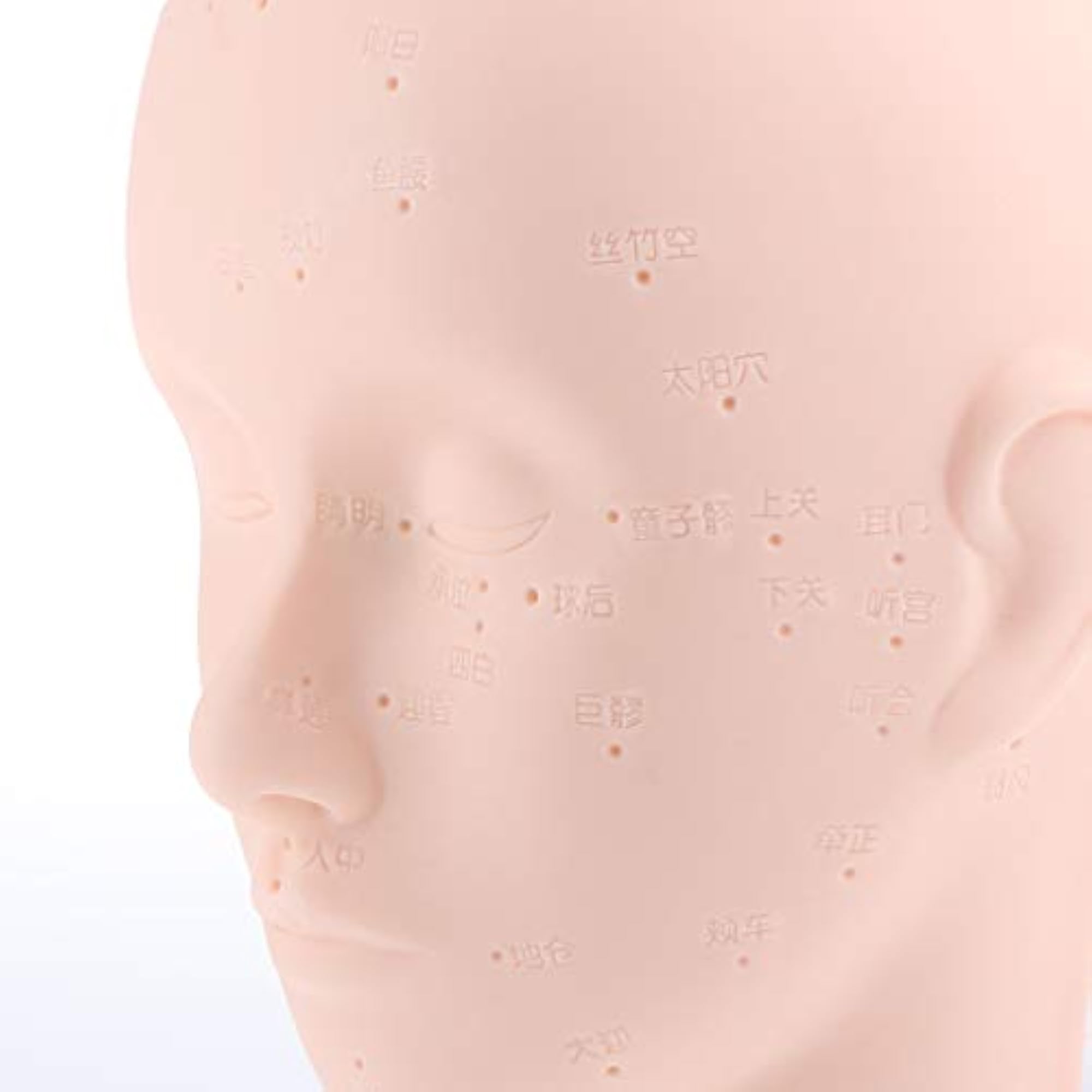 Losa Soft Mannequin Training Head for Makeup Practice