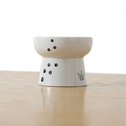 Necoichi Raised Cat Water Bowl, Elevated, With Measurement Lines, Dishwasher And Microwave Safe (Cat, Extra Tall) #TOP4