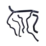 AcarKing Durites de radiateur Compatible avec Clio 172 182 RS Cup Trophy 2.0 F4R 2001 2002 2003 2004 2005 2006 Kit De Tuyaux De Refroidissement pour Radiateur De Voiture(B)
