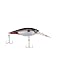 Firetail Red Tail