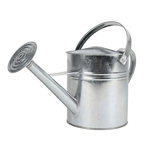 Gießkanne Silber 5L mit Brause Blumengießkanne Wasserkanne Blumenkanne Gartenkanne Kanne (5 Liter Modell 2025)