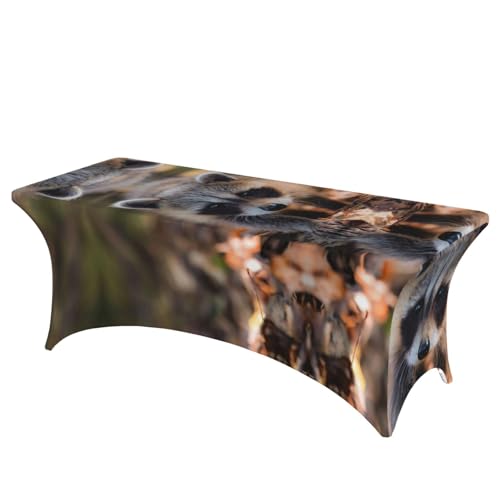 Nappe élasthanne raton laveur anti pli protection table - 2