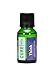 Attention Essential Oil For Focus Mental Clarity Concentration Positive Thinking & Sharp Mind - 100% Pure Therapeutic Grade - Aromatherapy Use - Premium Quality Brain Power Blend - 15ml Cure Oils