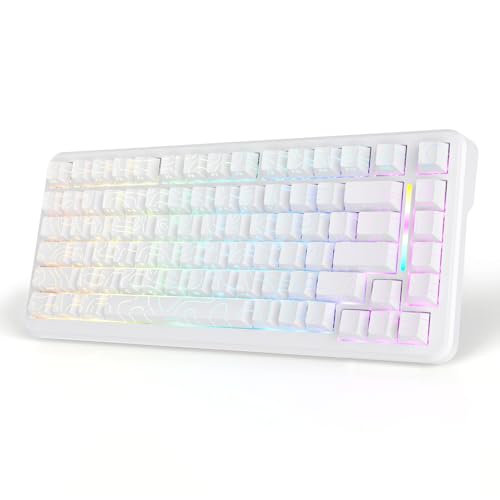 Clavier gamer magnétique MAMBASNAKE M82HE blanc, idéal pour le streaming et le jeu