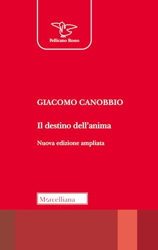 Il Destino Dell'anima Il Destino Dell'anima