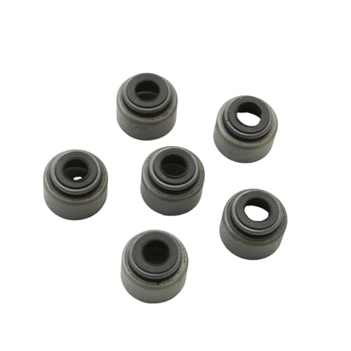 Sello de aceite de válvula de 6 piezas compatible con modelos MT03 y XT250 4
