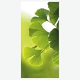 Deco Woerner Textilbanner Dekobanner Stoffbanner Stoffposter grüne Ginkgo-Blätter 100 x 200 cm