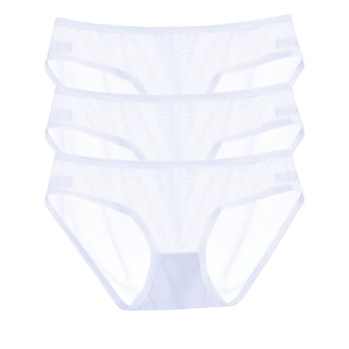 CENYINVEFI Sexy Panties for Women, Womens See Through Panties Low Waist Sheer Mesh Briefs Cute Seamless Panty 3 Pack