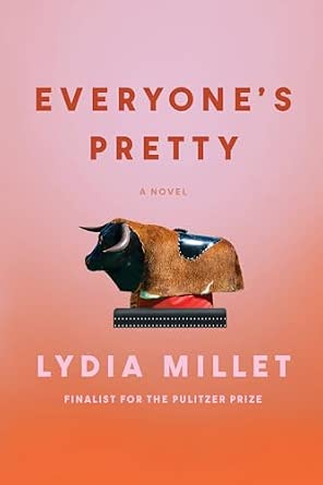 Everyone's Pretty: A Novel book cover