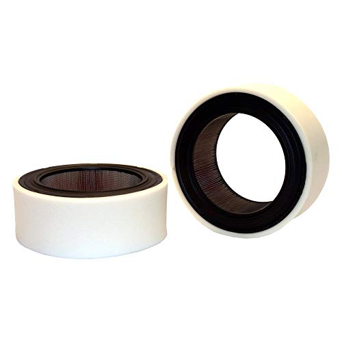 Wix Air Filter with Wrap - 46200