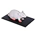 Imagen de Modelo Anatómico 4D Anatomía De La Rata En Blanco Y Negro Modelo De Órgano Óseo Visceral Enseñanza De Medicina Veterinaria Equipo Ensamblado Extraíble 32 Piezas