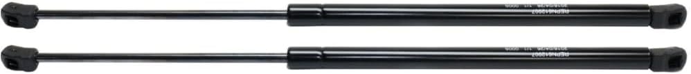 Lift Support Left Right 2pcs for Nissan Murano 2005-2007 | Black Steel, Liftgate, Direct Fit