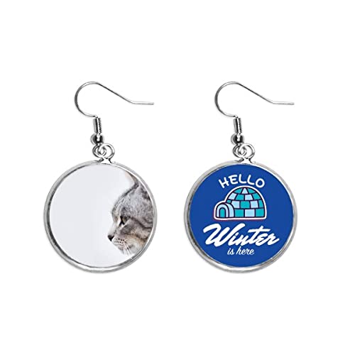 Pendientes de gato originales para regalar a amantes de los animales