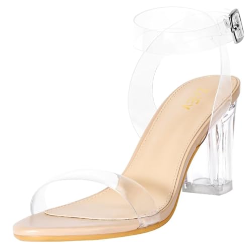 ZriEy Women's Clear Heels Chunky Block Mid High Heeled Sandals Open Toe Transparent Ankle Strap Dress Pump Shoes for Women in Daily Wear Party Wedding