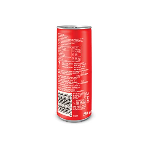 B Fizz Malt Flavoured Drink Can (250 ml)