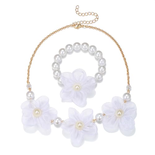 ZYHARUKO C~e[Vp[lbNX qpt[r[Y GKgȃbNX̃r[YlbNX @ɍœK t[p[WG[Zbg