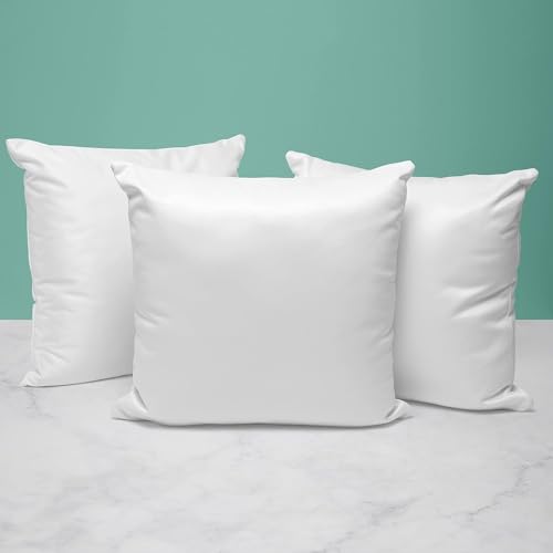 NH10 DESIGNS Microfiber Filled Cushion/Pillow Fillers Bedroom, Sofa, Living Room | Comfortable, Breathable | Pack of 2 (White) (16 x 16 Inches), Color-White (B0D3T73L33) Amazon Price History, Amazon Price Tracker