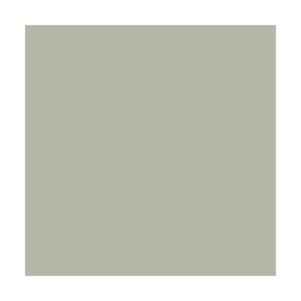 Peinture chaux naturelle : peinture, sans émanation, mineralis - 15 m² (2.5 kg en 1 couche) Gingembre Grège - ARCANE INDUSTRIES