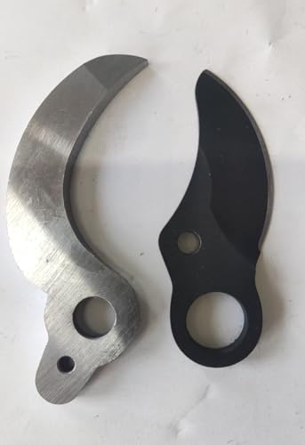 45mmoT~iB0F6YB7L8Zpjւn̂ lC 2025NVf  Jpx߉ (ւn̂)