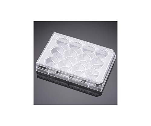 きよみず 353043 | Falcon® セルカルチャー 12ウェル マルチウェル