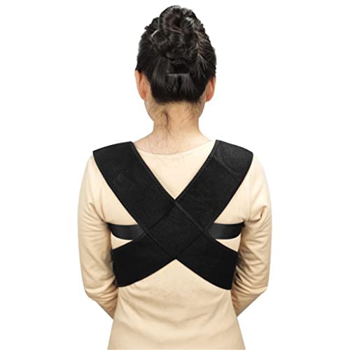 THJKUPO X^xg  ʋC lp obNu[X pxg bNXgbv