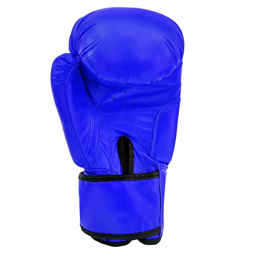 Image of RXN Training Sparring Boxing Gloves for Men & Women | Amateur Boxing Gloves for Training, Sparring & Heavy Bag Work | Multi-Layer Foam Padding | Secure Wrist Support