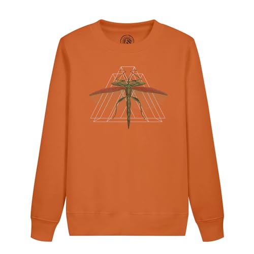 Sweatshirt enfant vintage cadeau idéal pour petit explorateur en herbe