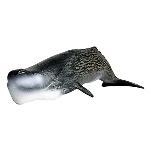 CmNWtBMATCmq̂߂̊Cmߋ}bRENW E