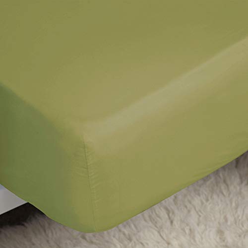 Image of Belledorm Easycare Percale Fitted Sheet - Double, Olive, 50% Cotton 50% Polyester, 200 Thread Count, 28cm Deep