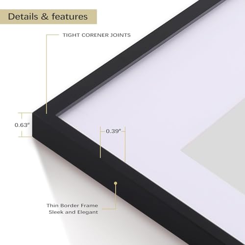 Image of Golden State Art, 13x19 Picture Frame Set of 3, Black Thin Border, Display Photo 11x17 with Mat or 13x19 Without Mat, Poster Frame for Wall Hanging Horizontal and Vertical