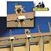 Model Shipways Set of 6 Hull Clamps for Bulkheads 3/16" or Thicker MX104