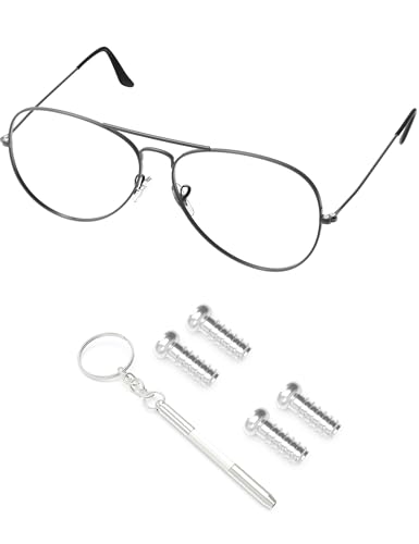 PapaViva Juego de 2 pares de tornillos de repuesto para gafas de sol Ray-Ban RB2447/RB3447/RB3256/RB3509/RB3528/RB3342/RB3393/RB3476/RB3561 - Plata (Phillips planos)