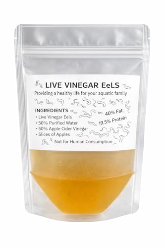 Live Vinegar EEL Culture Live Food for Fish Fry, Highly Nutritious, Easy to Cultivate
