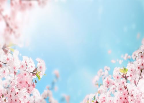 Arrière-plan photographique sakura rose pour décoration de mariage et fête de printemps